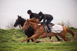BaldingApril14-47.jpg
