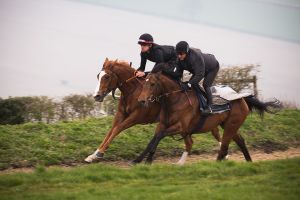 BaldingApril14-51.jpg