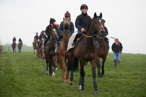 BaldingApril14-57.jpg