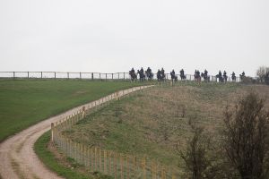 BaldingApril14-61.jpg