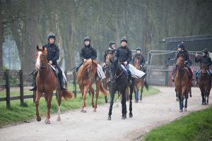 BaldingApril14-71.jpg